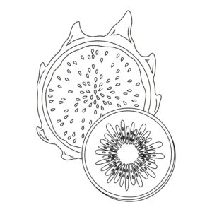 Exotiska frukters kavalkad