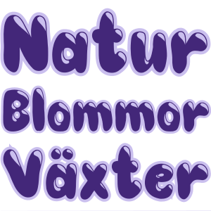 Kategorier Natur, Blommor och Växter