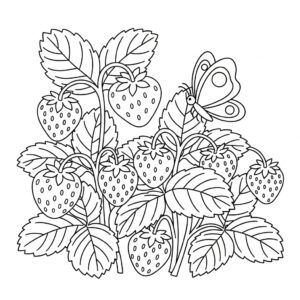 Trädgårdsjordgubbe målarbild med fjäril