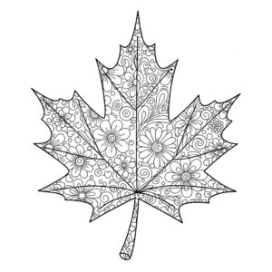 Zentangle-inspirerat höstlöv för vuxna