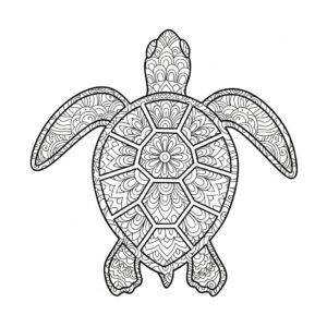 Zentangle sköldpadda för vuxna