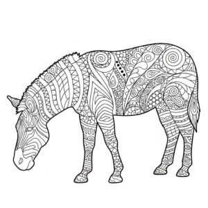 Zentangle zebra med avslappnande mönster för vuxna